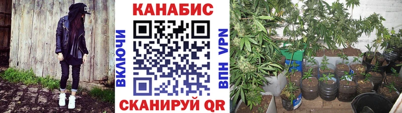 Каннабис MAZAR продажа наркотиков KRAKEN онион Покров